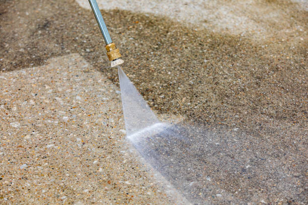 Animal Enclosure Cleaning in Bridgeville, PA